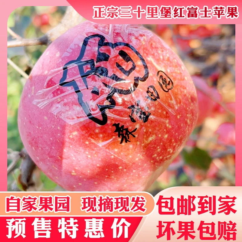 大连三十里堡森宝富硒红富士4斤装