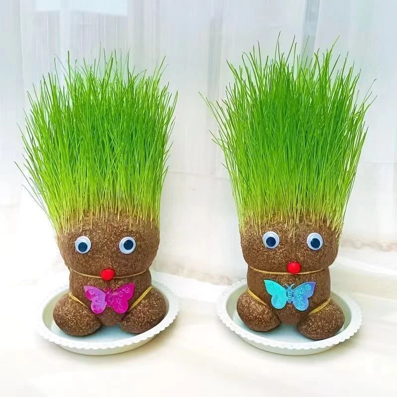 【买一送一】花伴水草头娃娃可爱小盆栽创意绿植趣味长草娃娃drty