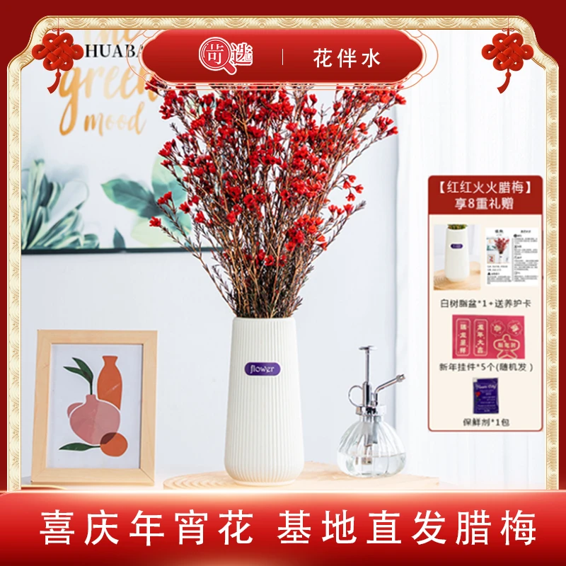 【花伴水】花伴水澳洲腊梅精选年宵花插花鲜切花云南基地直发S
