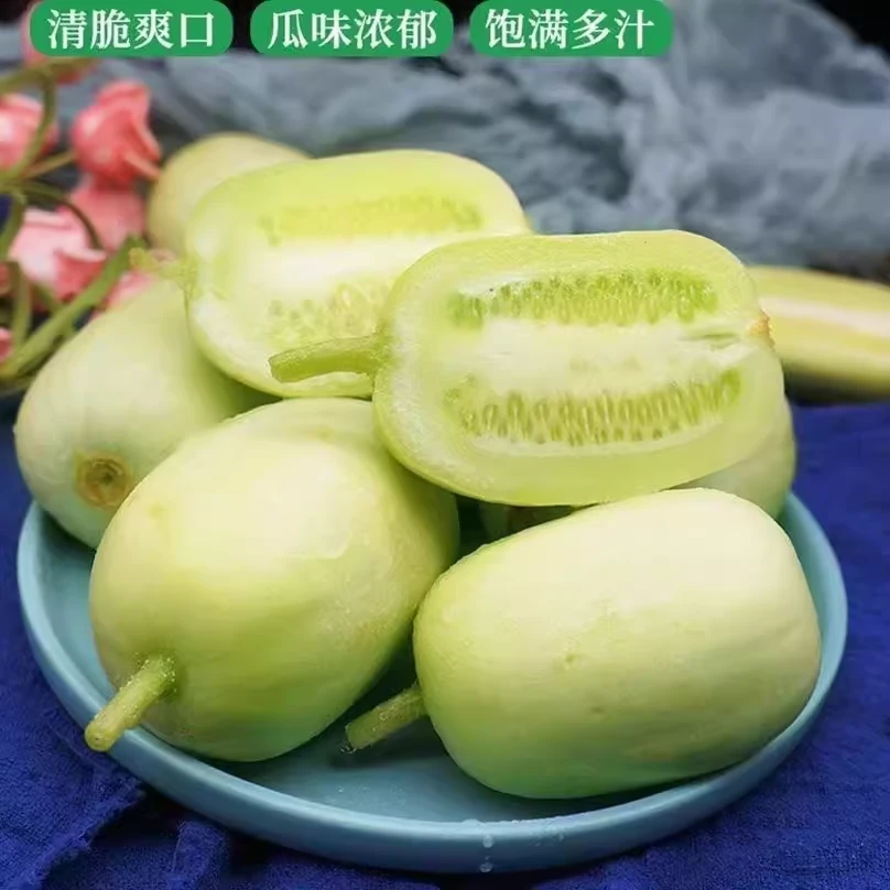 金童水果黄瓜种子玉女水果黄瓜种籽迷你四季盆栽春季夏秋蔬菜种孑