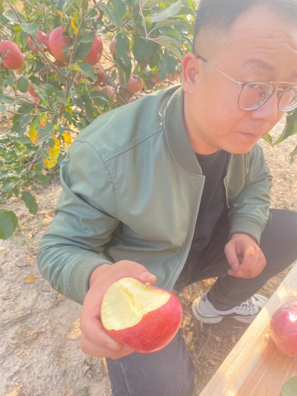 陕西高山旱地老树红富士新鲜苹果