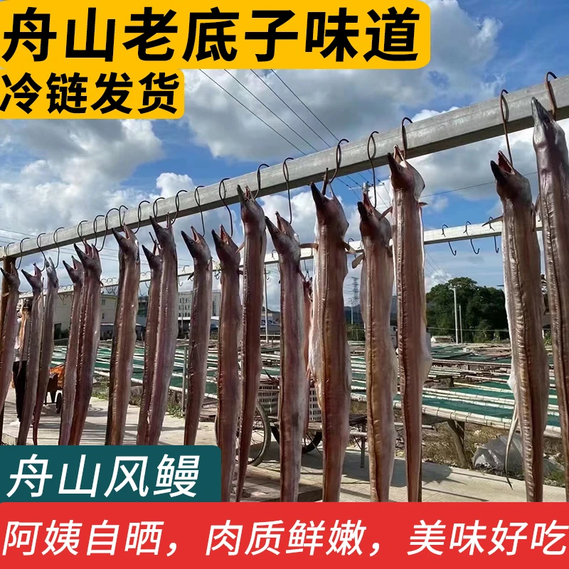舟山东海整条风鳗筒海鳗鱼肉干鳗鲞微咸新鲜海鲜水产自晒干货特产