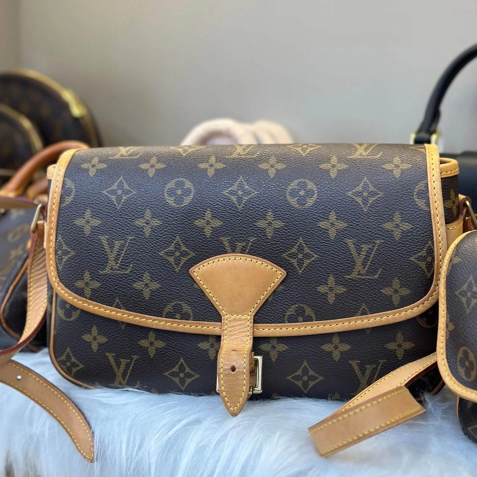 95新 LouisVuitton/路易威登 LV中古法棍｜斜挎包