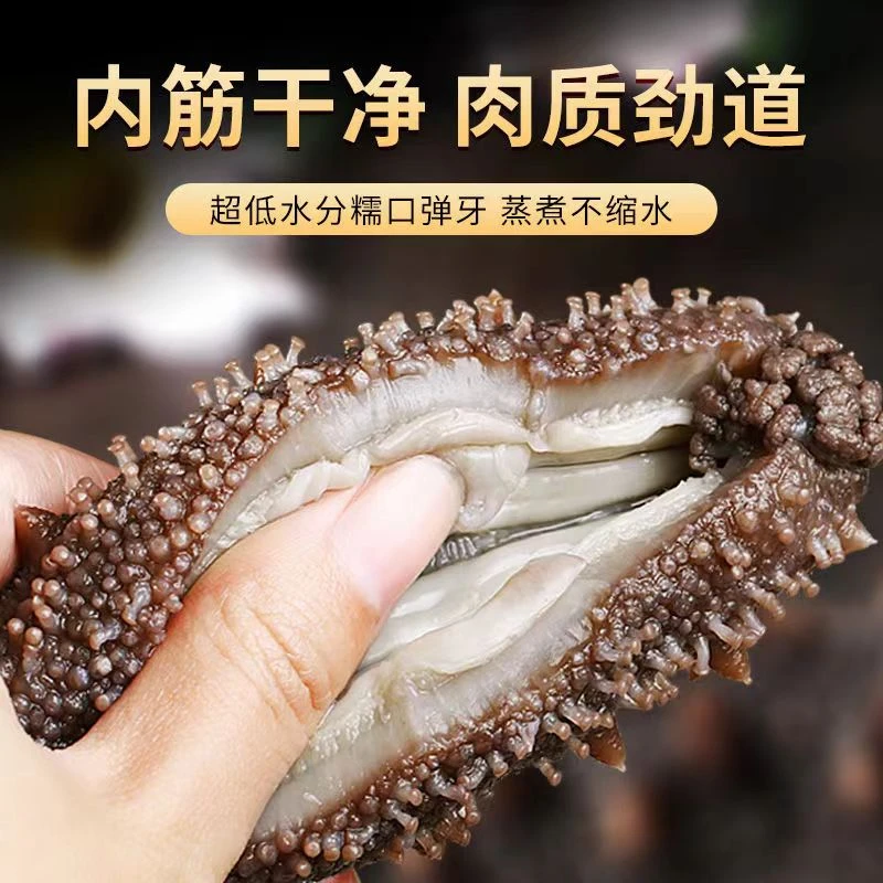 菲度-辽宁大连即食海参海鲜口感劲道肉质Q弹内筋干净韧性1斤8头