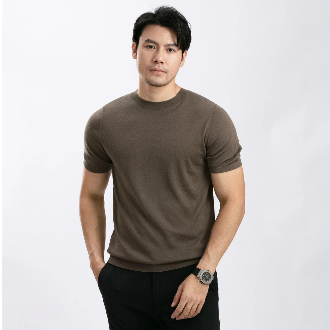 【100%精纺美丽诺羊毛衫】新款男夏季薄修身圆领T恤男生针织900