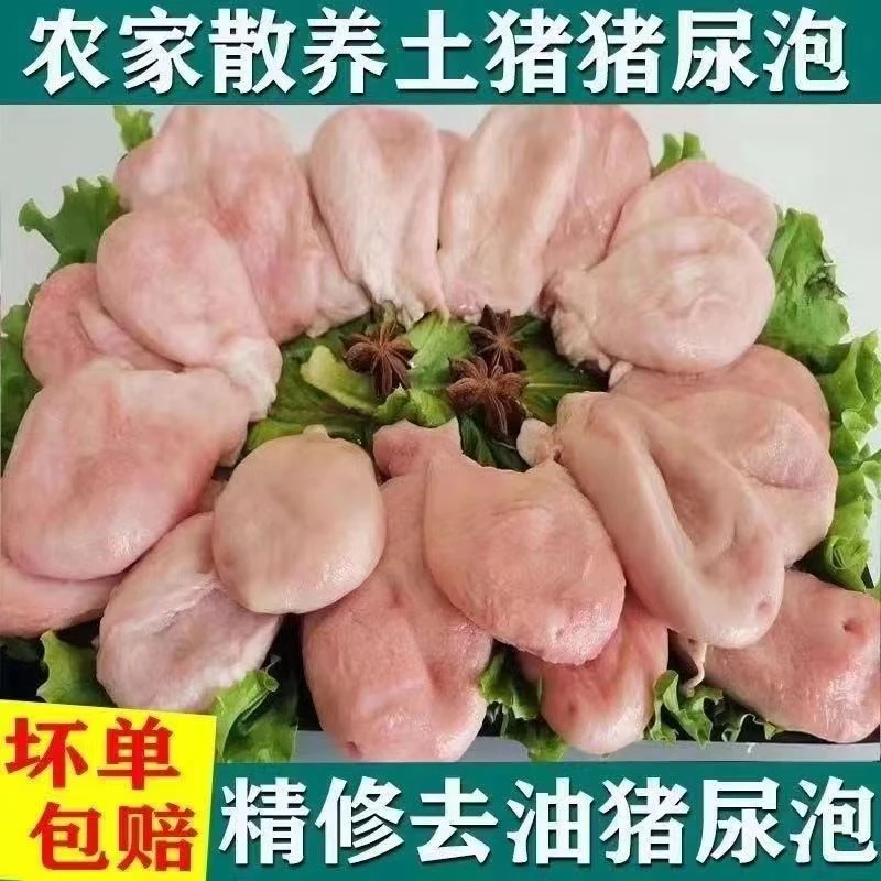 【猪小肚】新鲜猪小肚 猪尿泡 猪膀胱新鲜小肚子批发卤菜美食食材