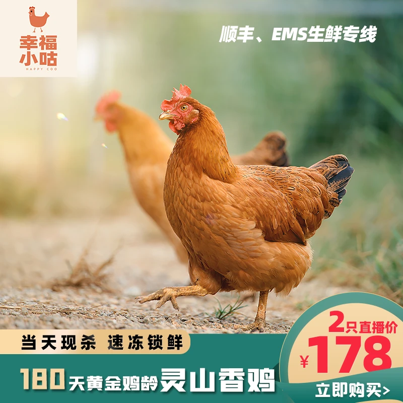 2只装【幸福小咕】益生菌灵山土香鸡净5斤180天生态散养鸡味香浓