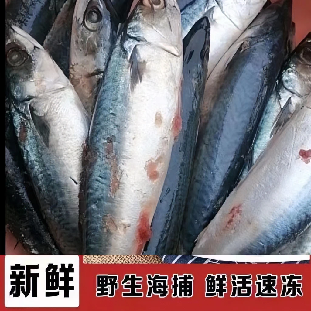 花仙鱼 鲐鱼 青占鱼 新鲜鲐鲜活速冻美味深海品质烹饪（8斤）