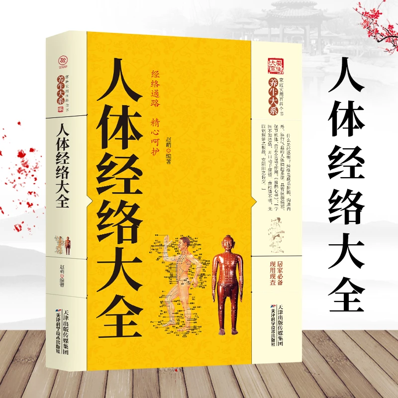 养生大系人体经络大全图解手法经络穴位快速记忆全身经络书籍