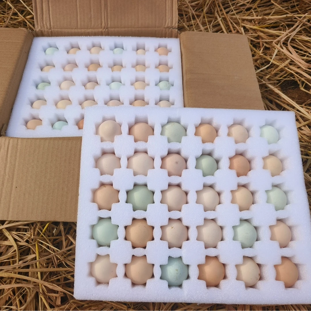 湖南常德半亩四季正宗新鲜农家土家蛋30枚一箱