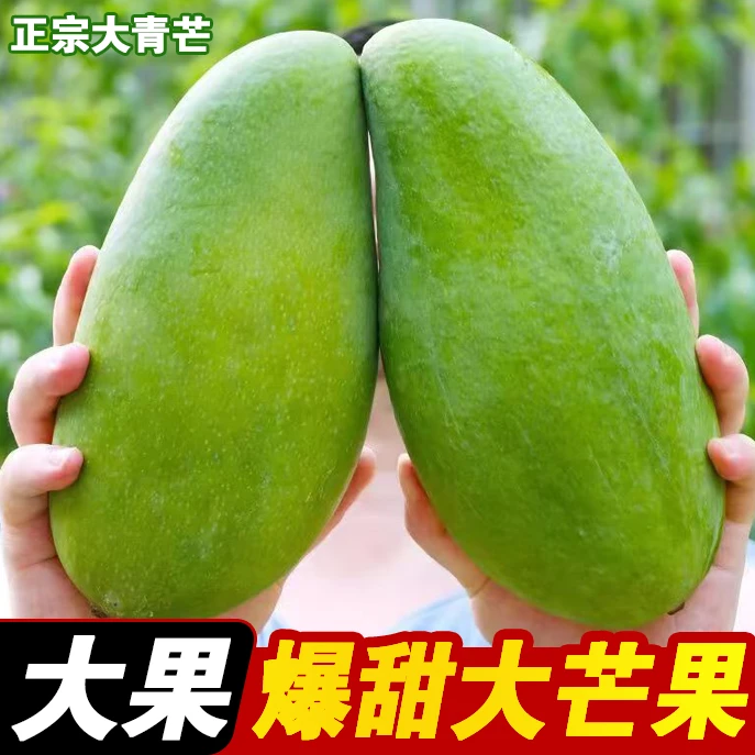 大青芒果大芒果新鲜应季水果孕妇金煌芒奶茶店蛋糕店批发小台芒