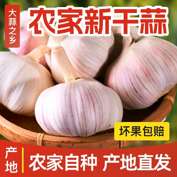 【十足新干蒜】大蒜之乡金乡新干蒜山东紫皮大蒜十足干蒜现发促销价