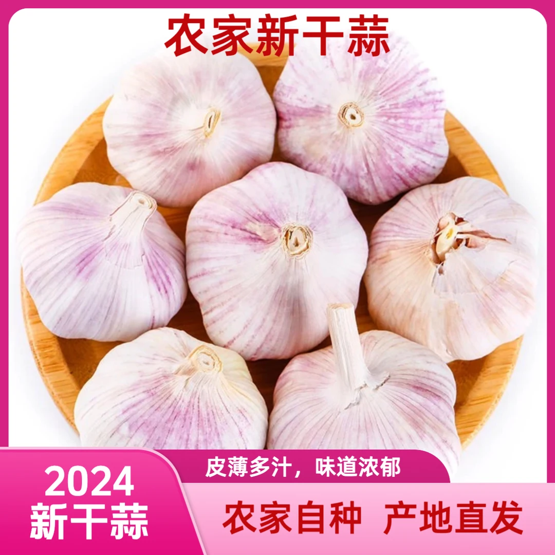 【2024新干蒜】大蒜之乡金乡新干蒜山东紫皮大蒜十足干蒜现发促销价