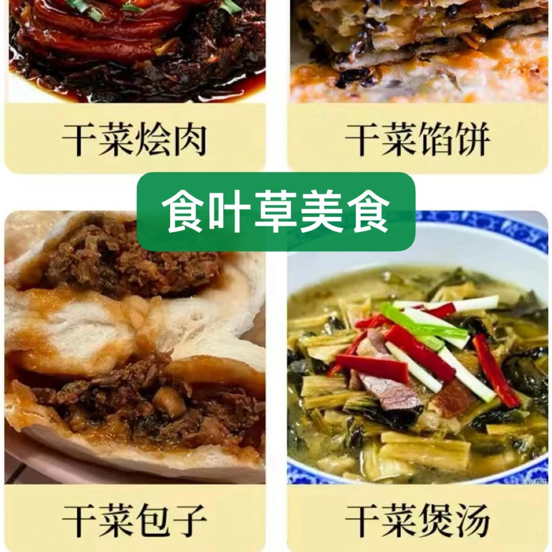 食叶草干菜蛋白菜长寿菜氨基酸菜