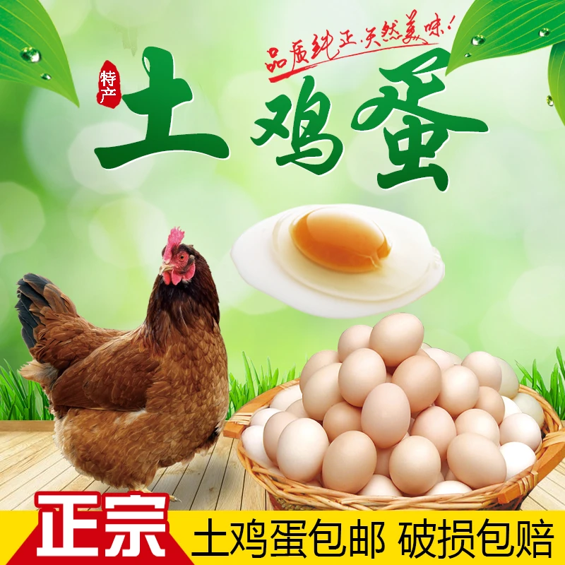 农家新鲜土鸡蛋信阳正宗散养笨鸡蛋虫草蛋大别山林下散养营养健康