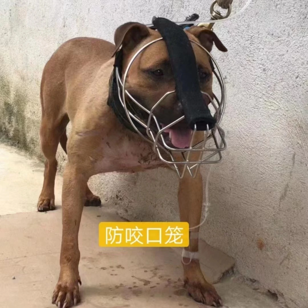 中大型猛犬比特犬狗嘴套防咬防误食狗罩结实不锈钢嘴笼耐用设计