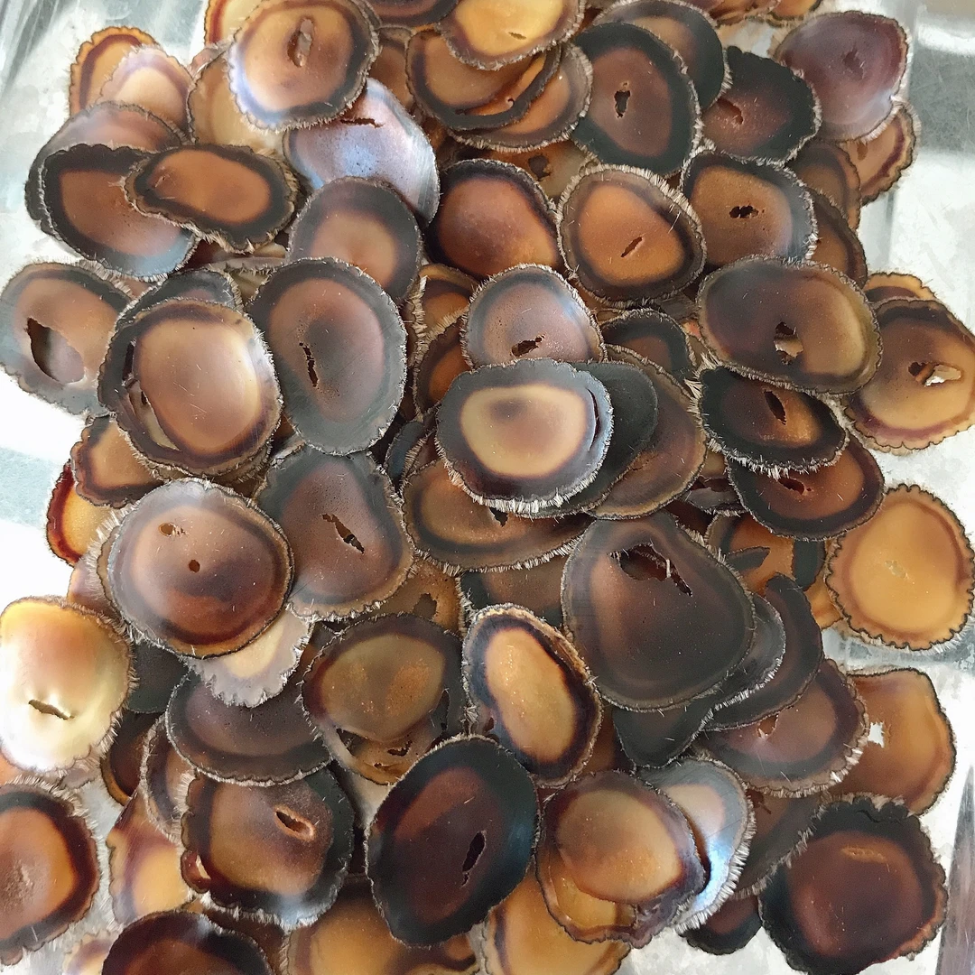 全蜡片10克大片鹿茸蜡片破损全腊片照片实拍足干茸煲汤泡水泡酒茶