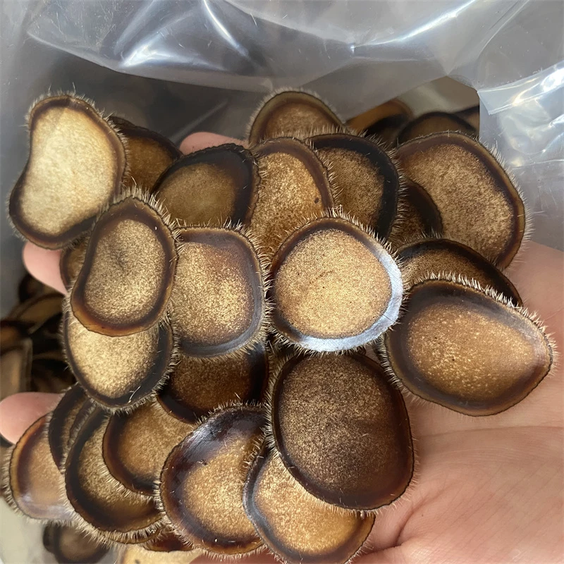 正品 梅花鹿半蜡片10克主角大片鹿茸片泡水煲汤泡酒中药材滋补