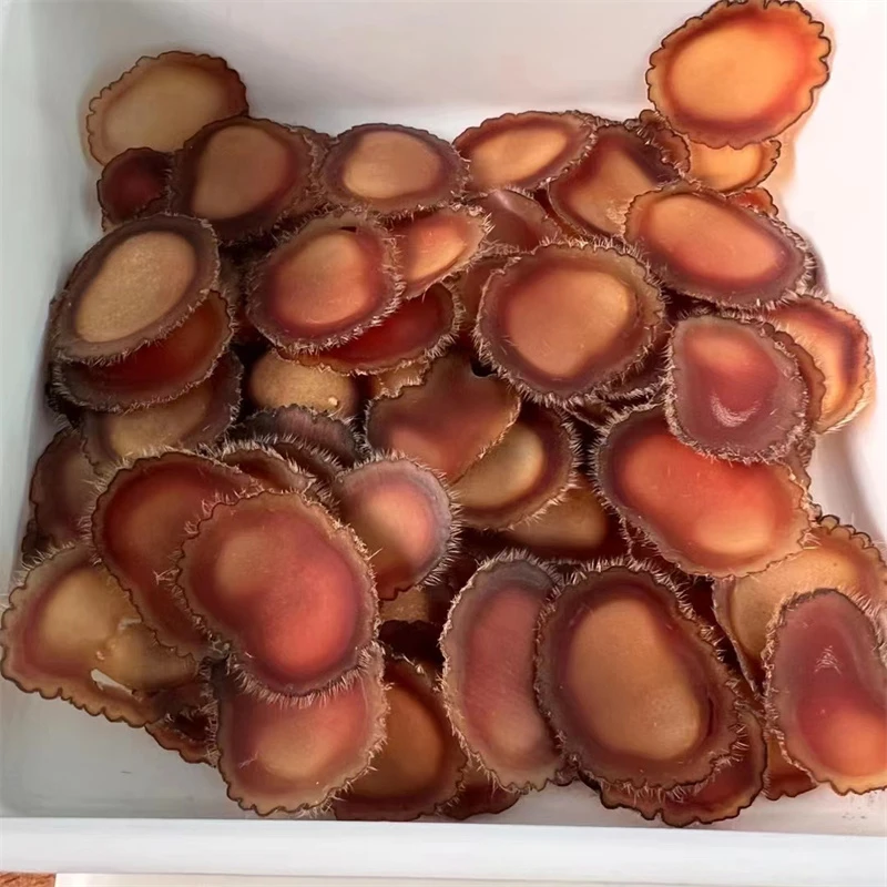 全蜡片含血鹿茸片顶全腊片吉林鹿场产地直发泡水柔软煲汤泡酒含服
