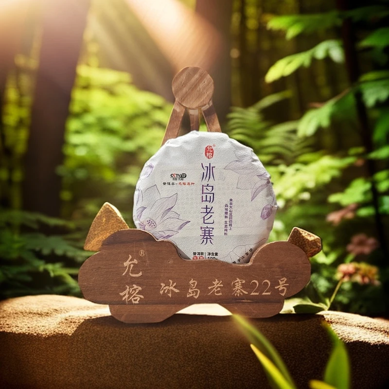 YUNRONG/允榕正宗冰岛老寨 24年头春传承品质 普洱茶（生茶）100克