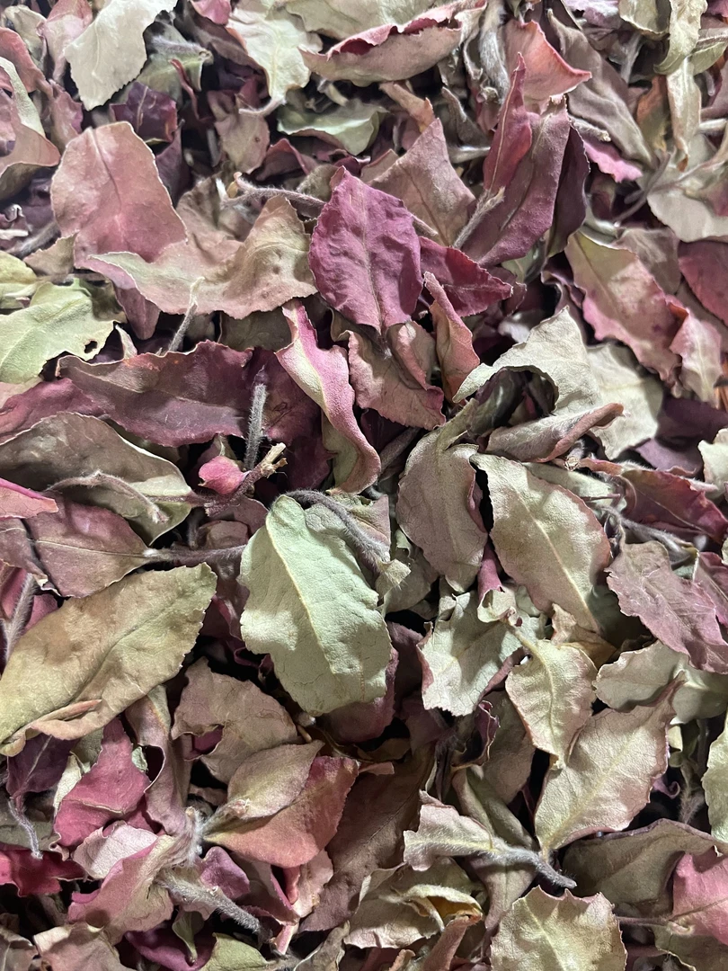 通用 24年冰岛 香气 浓郁 品质普洱白茶（春茶/散料）（玫瑰香白茶）1