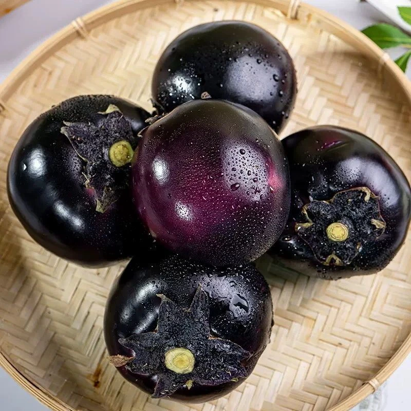 山东新鲜茄子紫皮圆茄子清甜时令自种紫色精品绿色农家鲜嫩应季