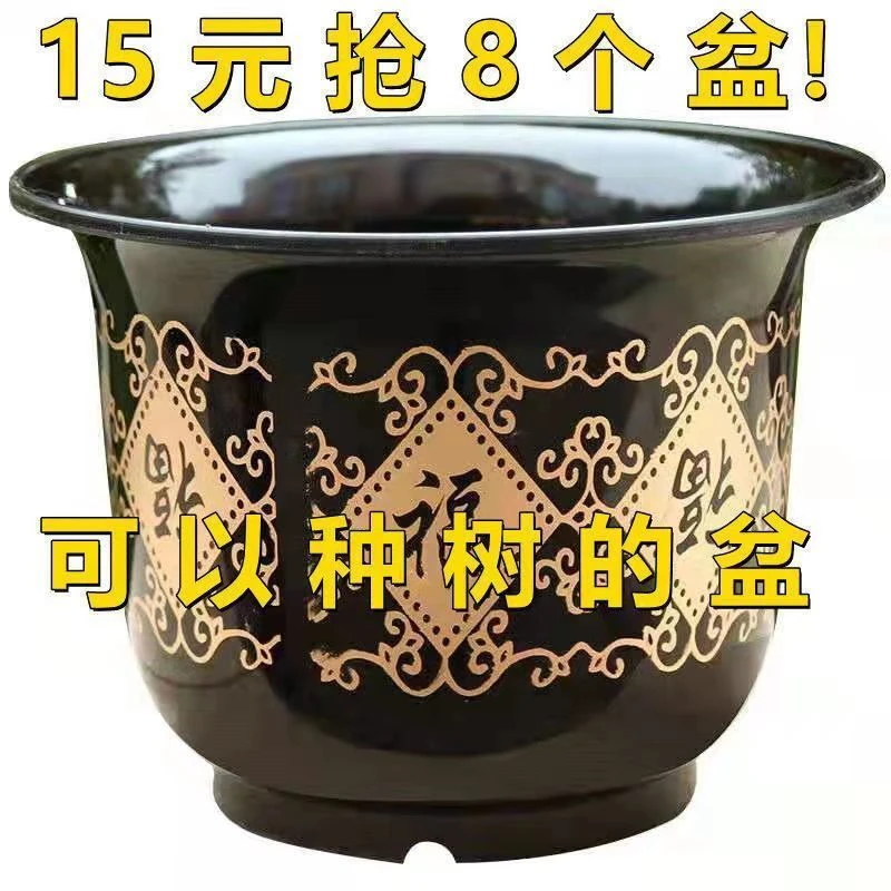 花盆塑料仿陶瓷福字果树大花盆加厚复古花卉多肉盆送托盘特价批发