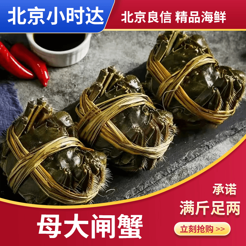 1只鲜活大闸蟹 母蟹 红膏蟹 包活包肥