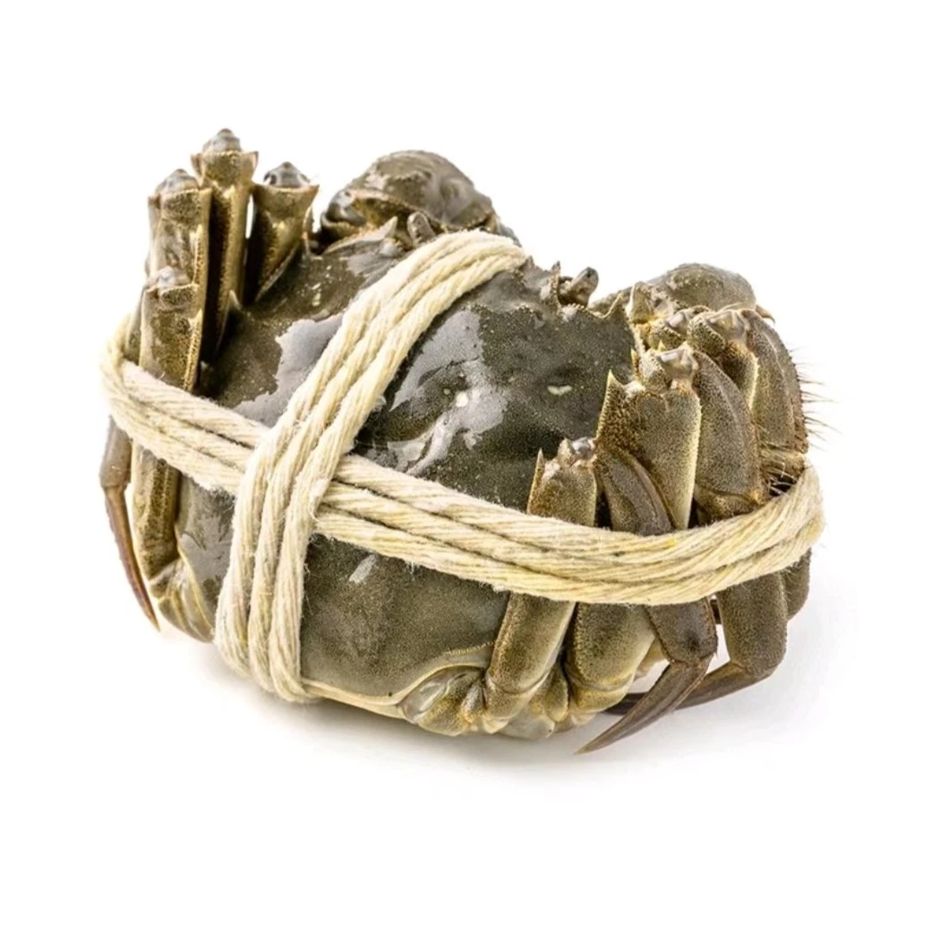 【小时达】10只装/鲜活清水大闸蟹（全母蟹）/单只75g左右