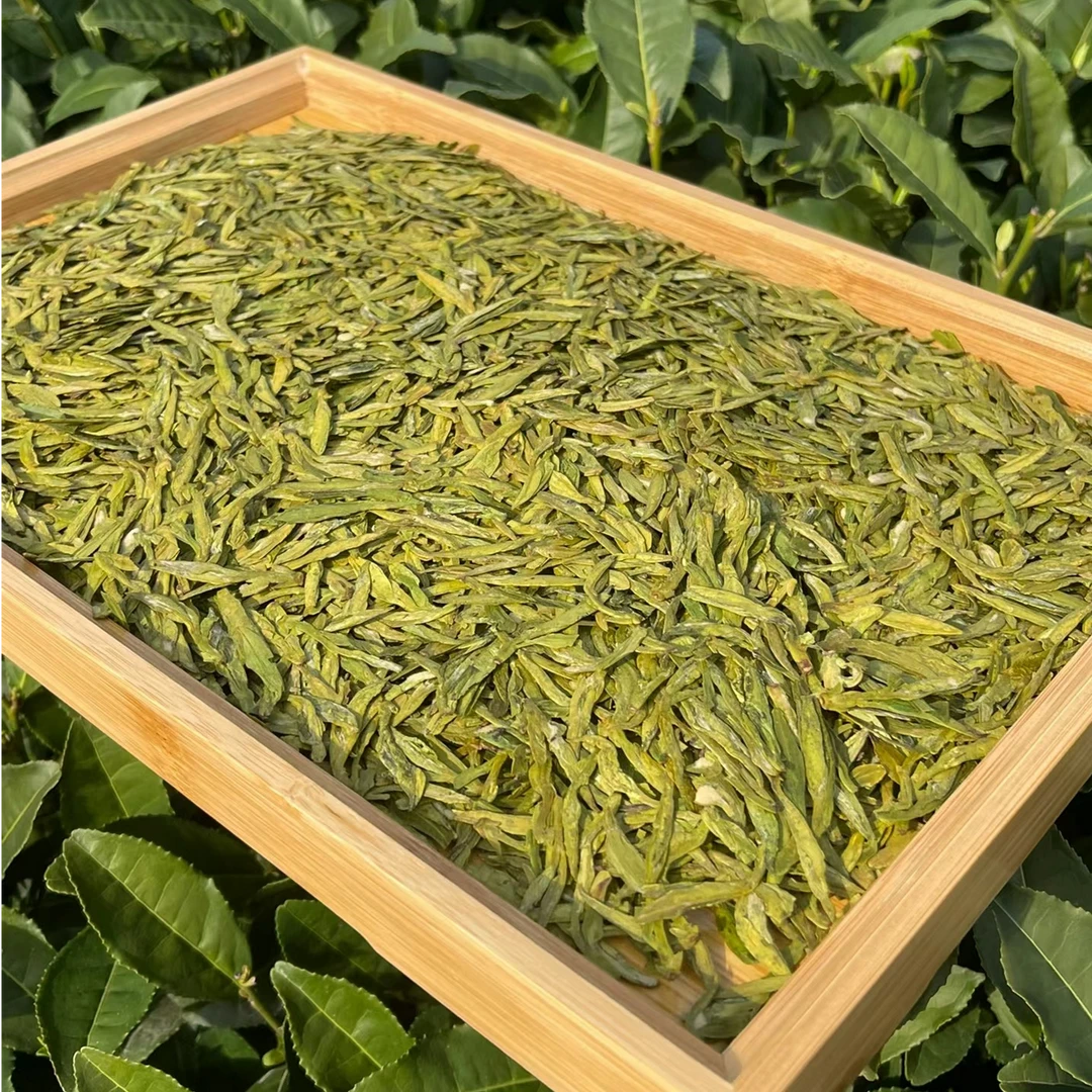 【春知雨】2024新茶浓豆香龙井茶