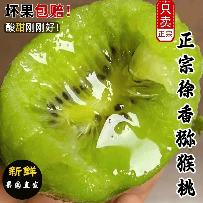 正宗陕西眉县徐香猕猴桃新鲜采摘坏果包赔香甜多汁50-130g