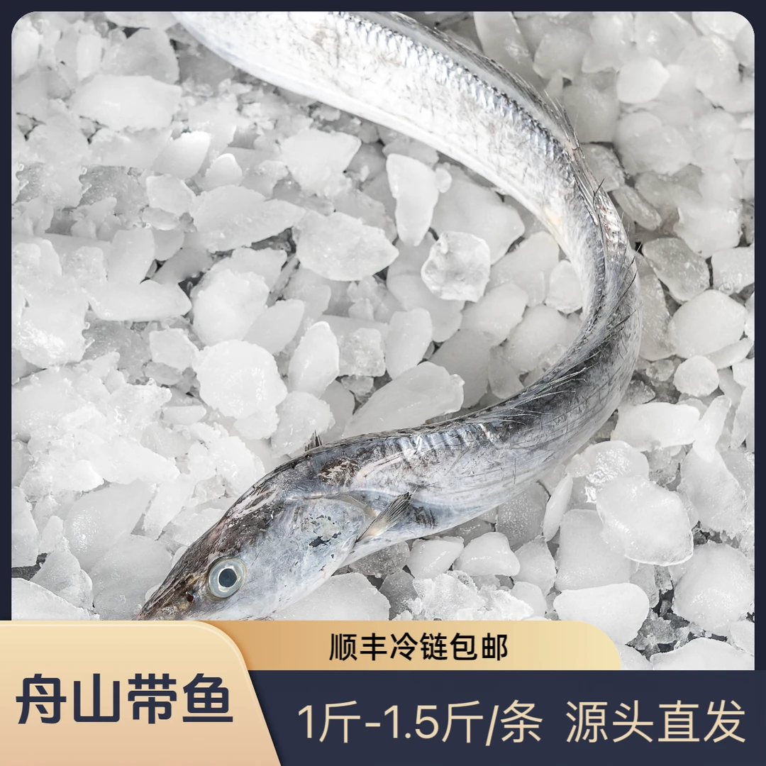 【东边的海】正宗舟山小眼睛 雷达网油带鱼整条 净重4斤