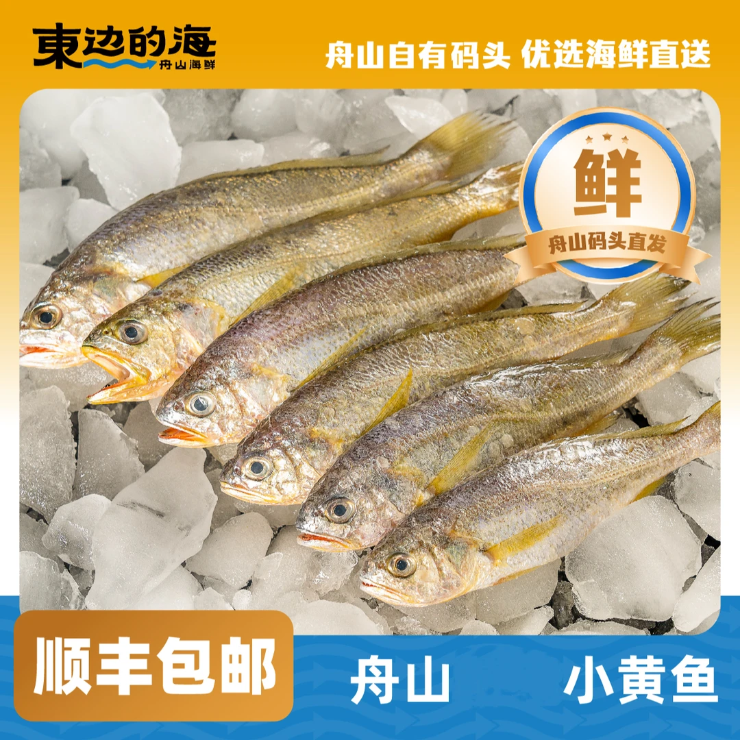 【东边的海】舟山东海小黄鱼 鲜活速冻 10-12条/斤 顺丰包邮