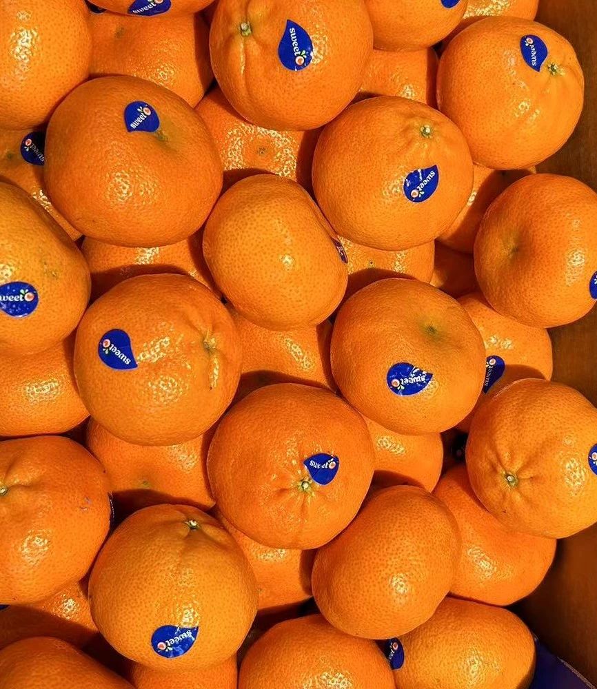纯甜9/斤无酸-进口澳桔约1.3-1.5斤一份