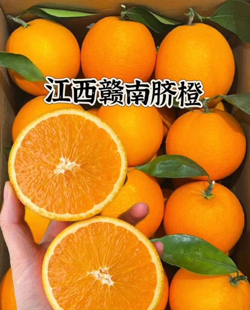 【赣南脐橙2斤】