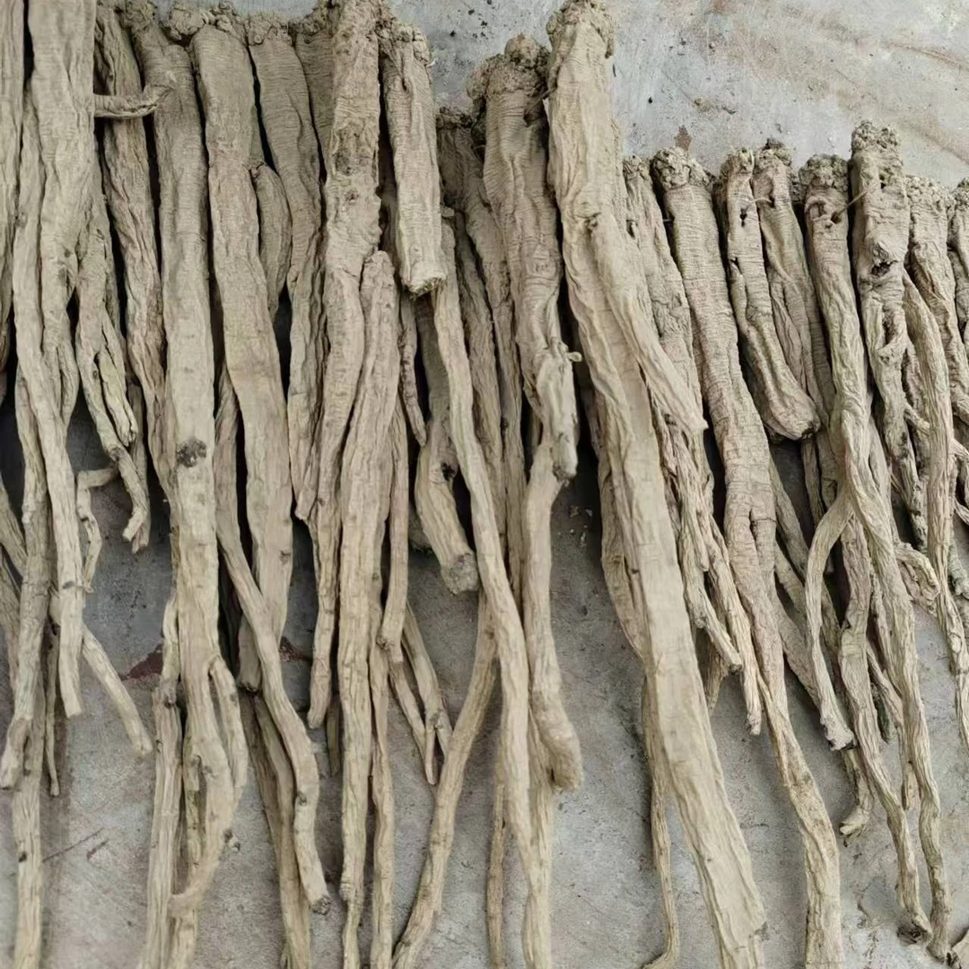 党参二十年左右野外生长外表难看介意外表的勿拍