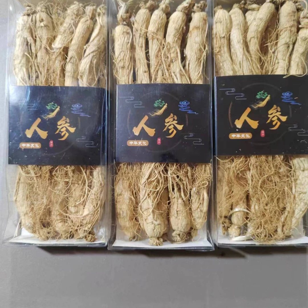 长白山林下採挖人参