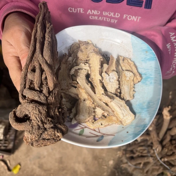 当归头片    甘肃岷县  无硫