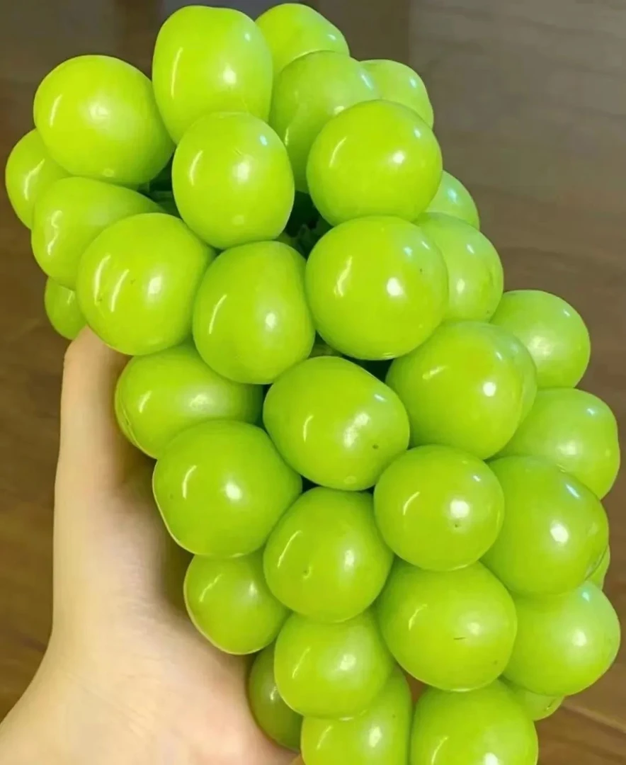 阳光玫瑰二斤装