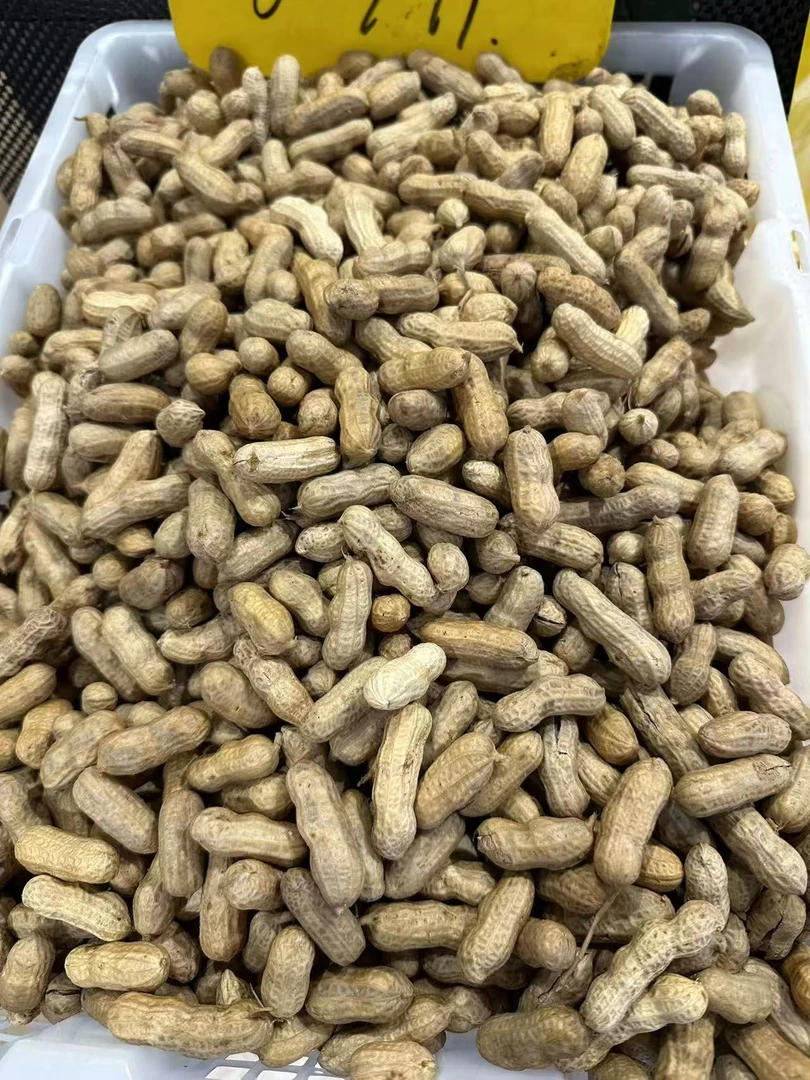 新鲜水煮花生500g