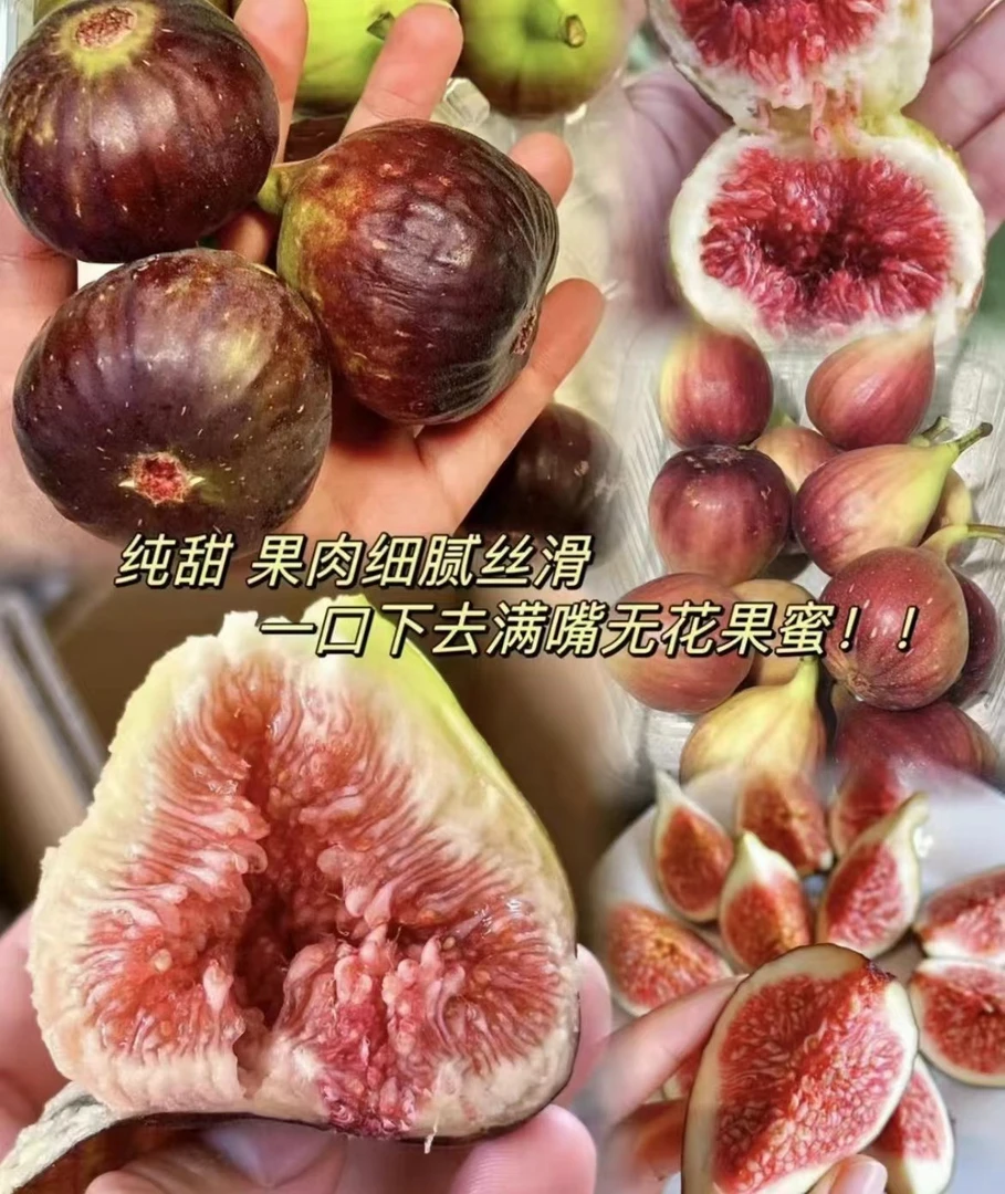 无花果（一斤）
