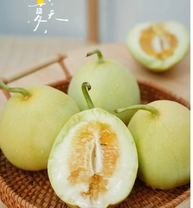 【配送到家】香瓜一个