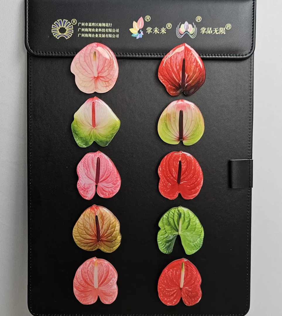 【掌品无限】彩掌胸针