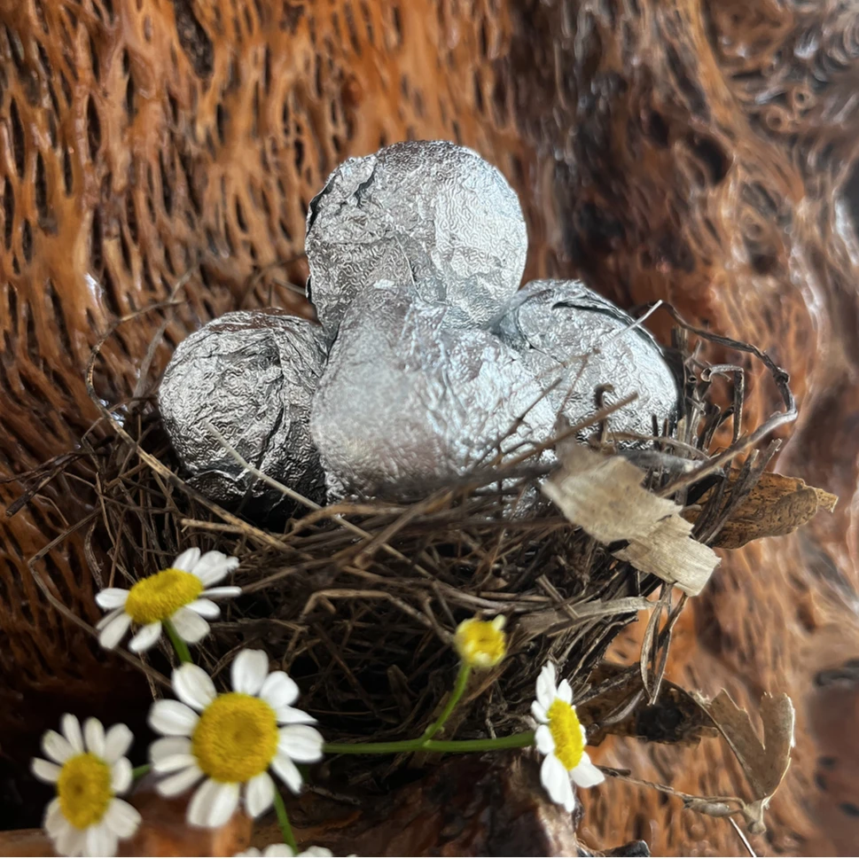 2022年户南土司贡茶龙珠30颗普洱生茶试喝3颗