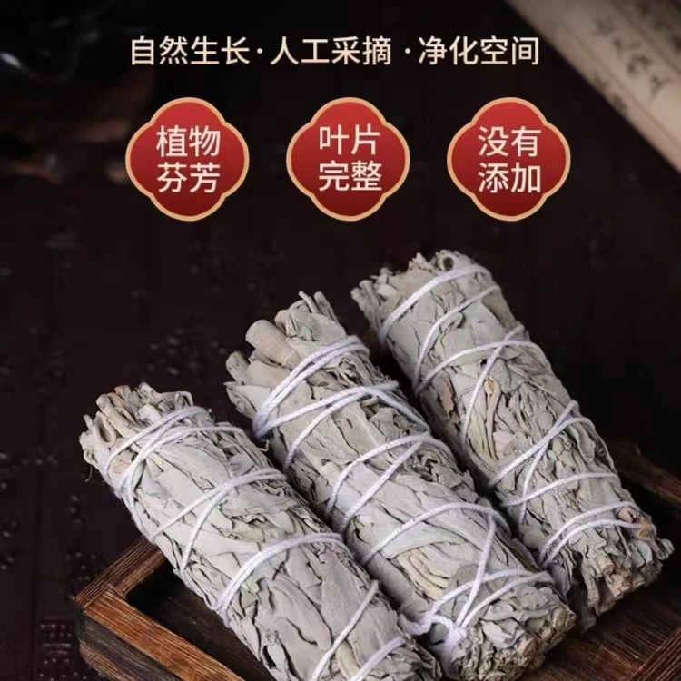 鼠尾草 白鼠尾草