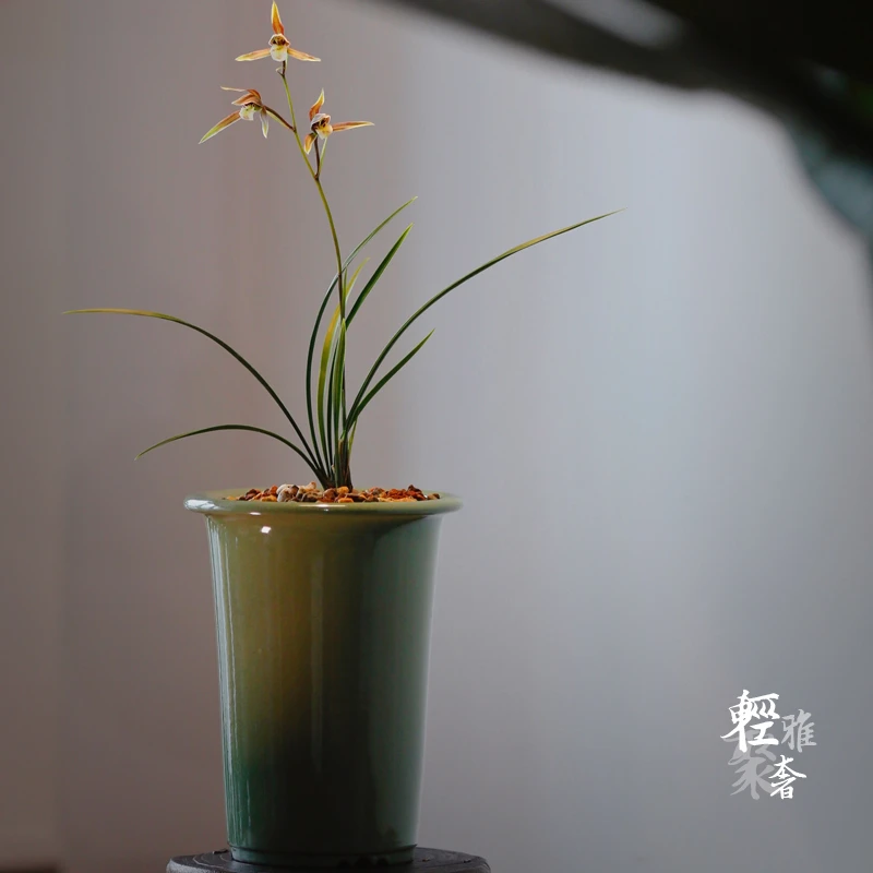 轻奢 笼香梅青釉 紫砂兰花盆寒兰盆春兰盆莲瓣兰盆引种盆