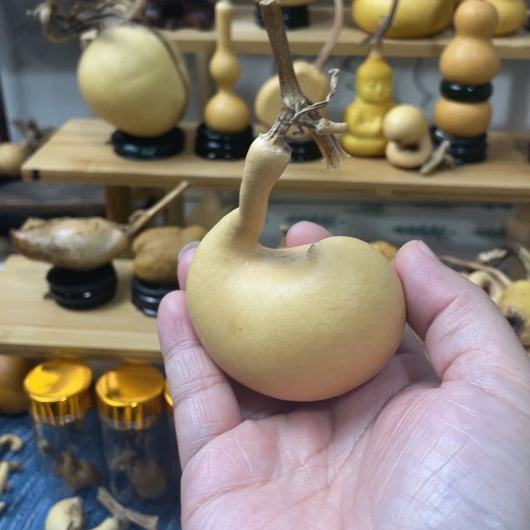 【闪购商品】乔**主50aaaaaaaaaaaaaaaaaa