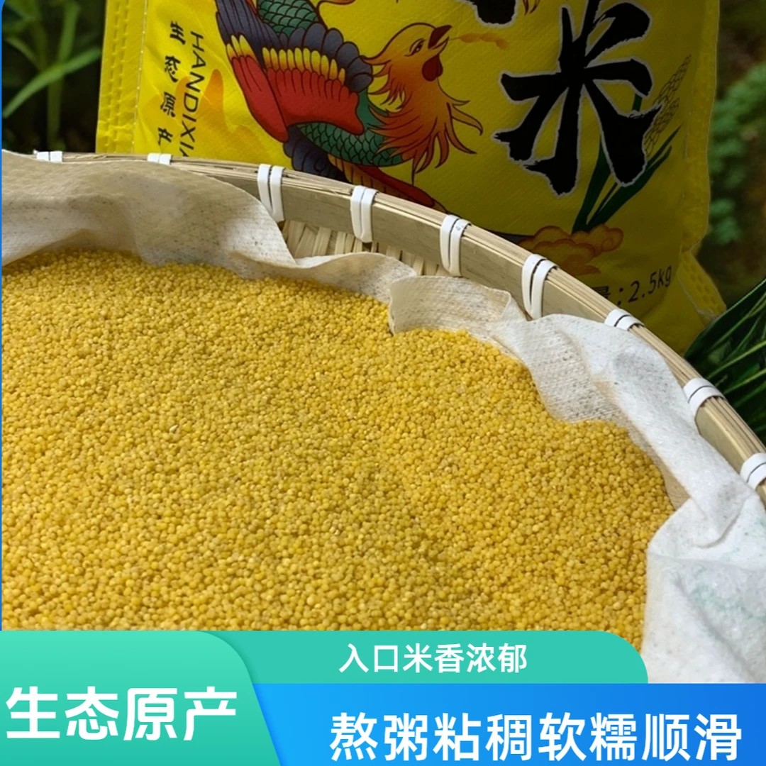 山西大同特产黄小米 米油浓厚 熬粥粘稠软糯顺滑【支持试吃】