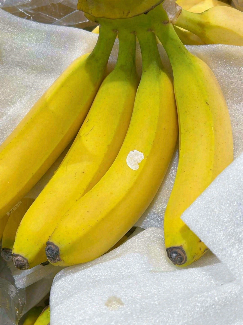 【进店福利】B级-香蕉1根（约150g）