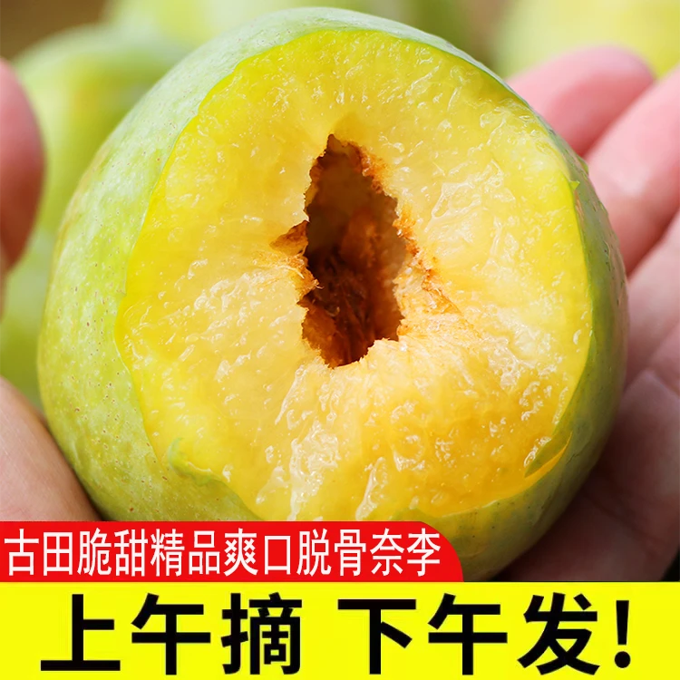 【升级果王装】油奈李新鲜现摘古田青奈福建脆李脱骨李脆爽非蜂糖李